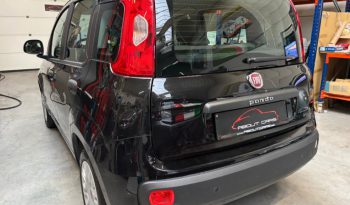 Fiat Panda full