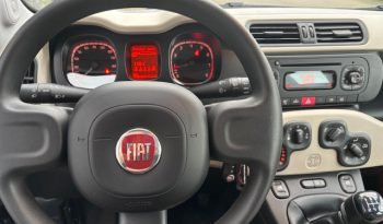 Fiat Panda full