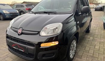 Fiat Panda full