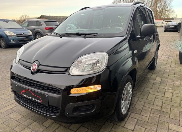 Fiat Panda full